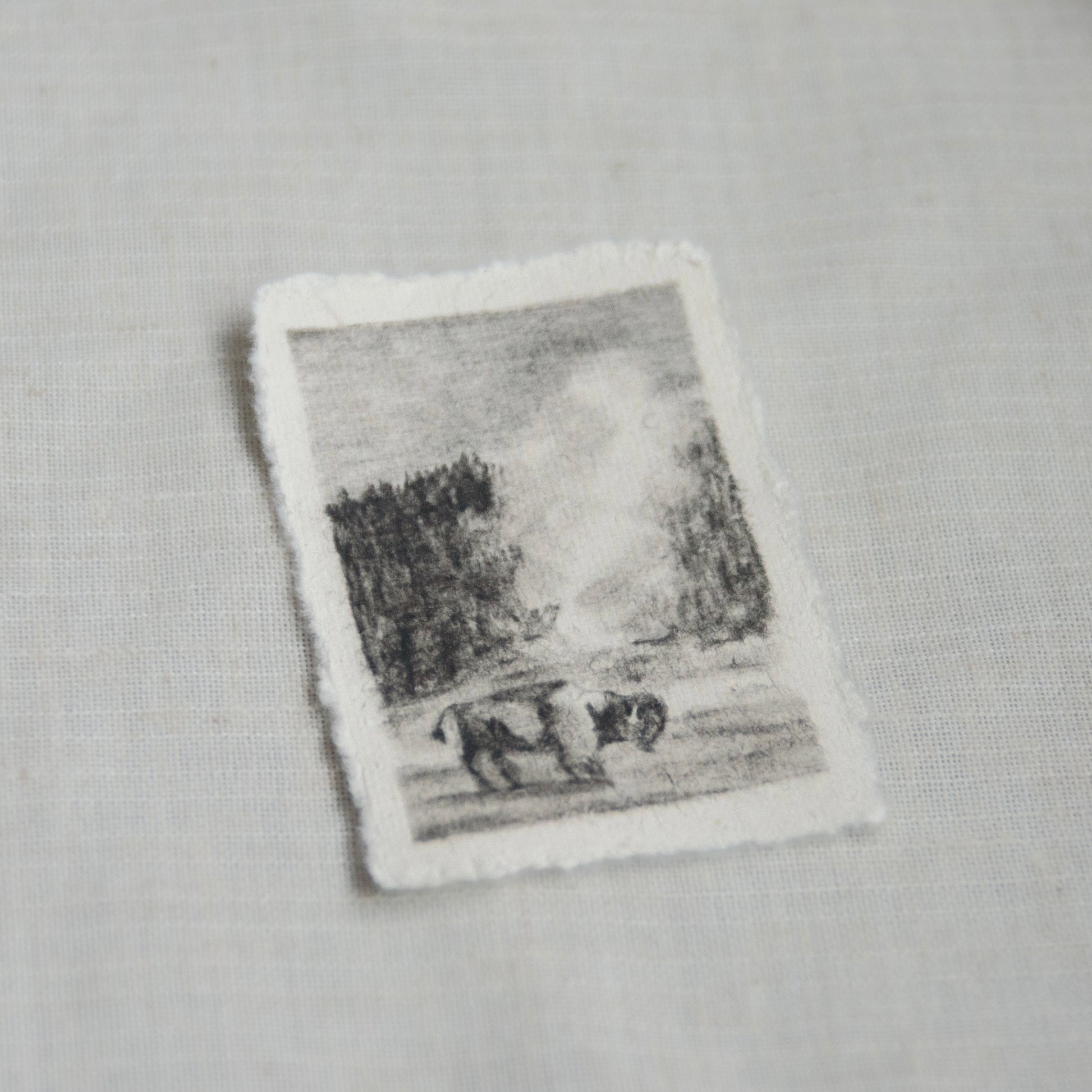 side view of bison standing in front of Old Faithful Geyser in Yellowstone National Park as a miniature charcoal sketch to help support the NPCA