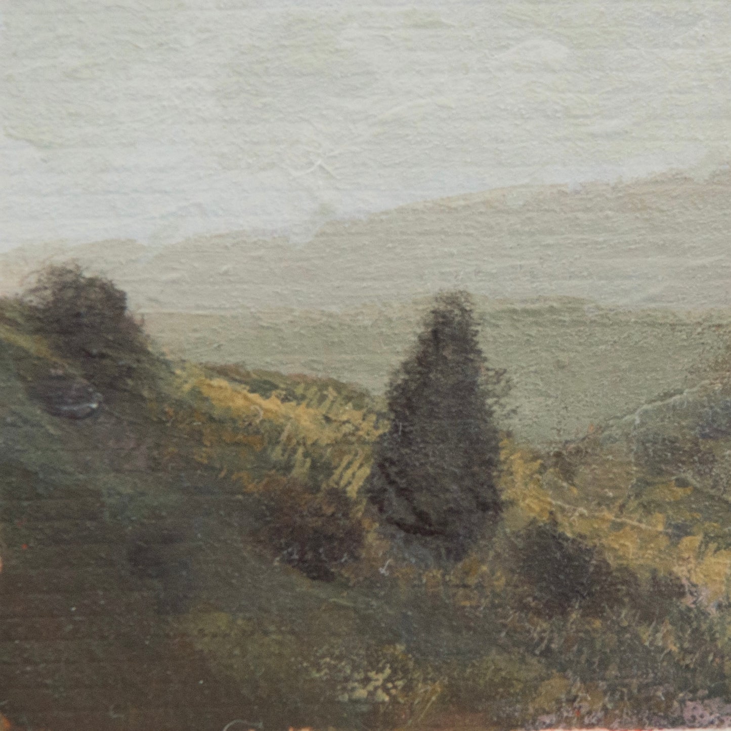 Close-up detail of plein air brushstrokes and pine tree and grass textures in an overlook at Pinnacles National Park art
