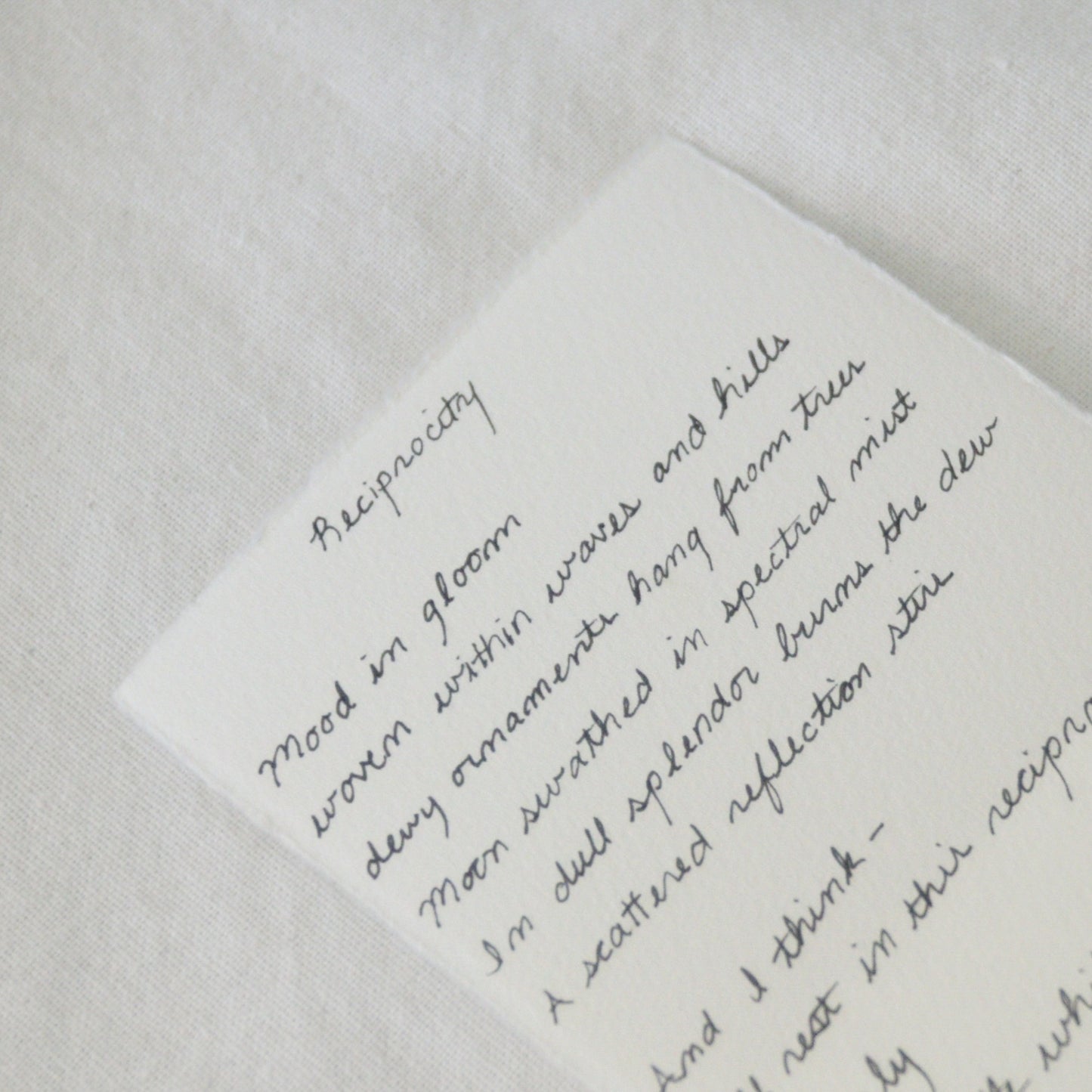Cursive details of 'Reciprocity' poem for Point Reyes National Seashore by Laura Van Moorleghem