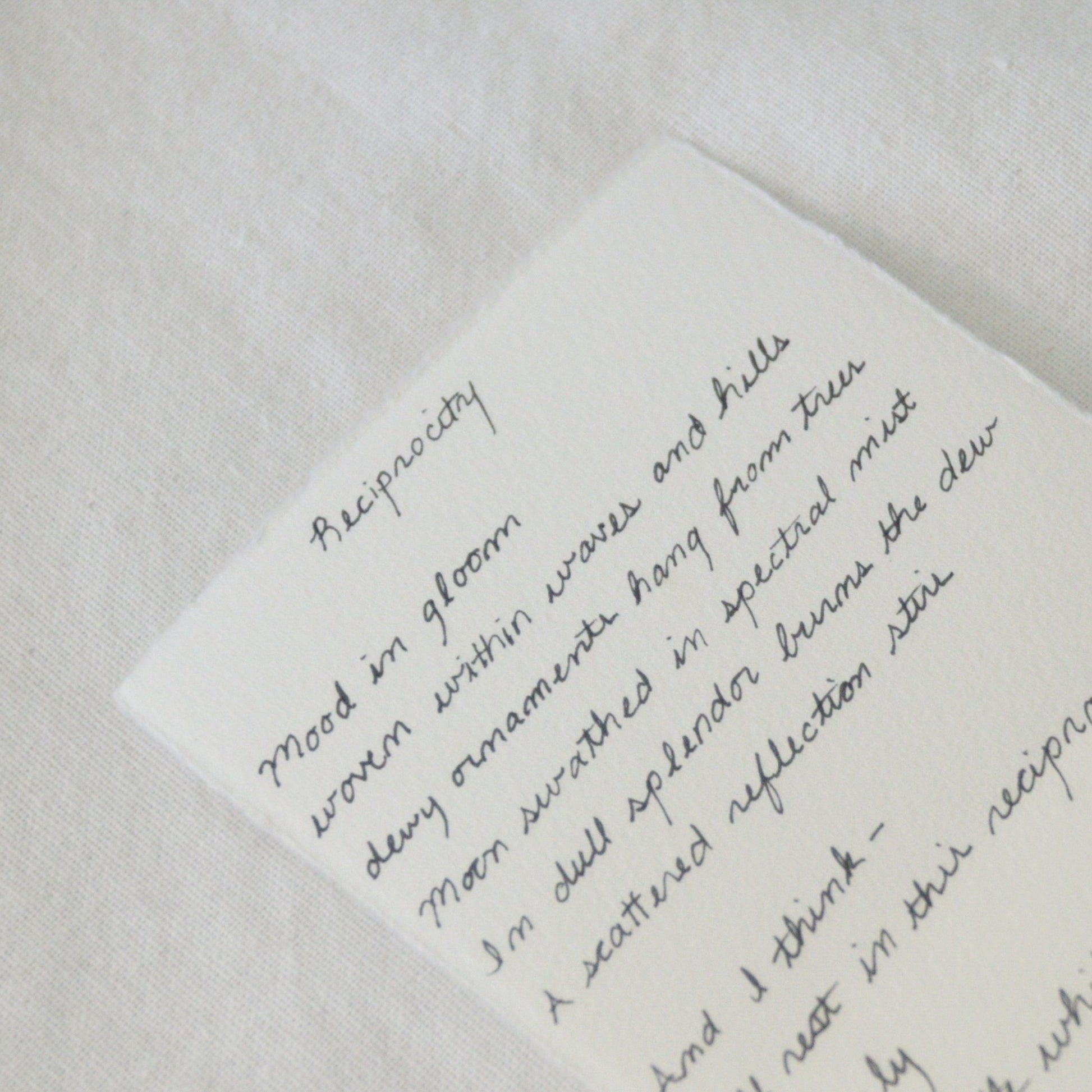 Cursive details of 'Reciprocity' poem for Point Reyes National Seashore by Laura Van Moorleghem