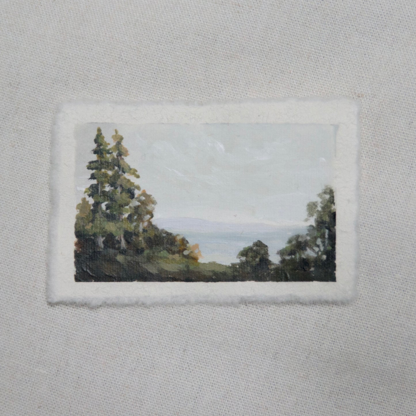 XII: Small Beginnings viii