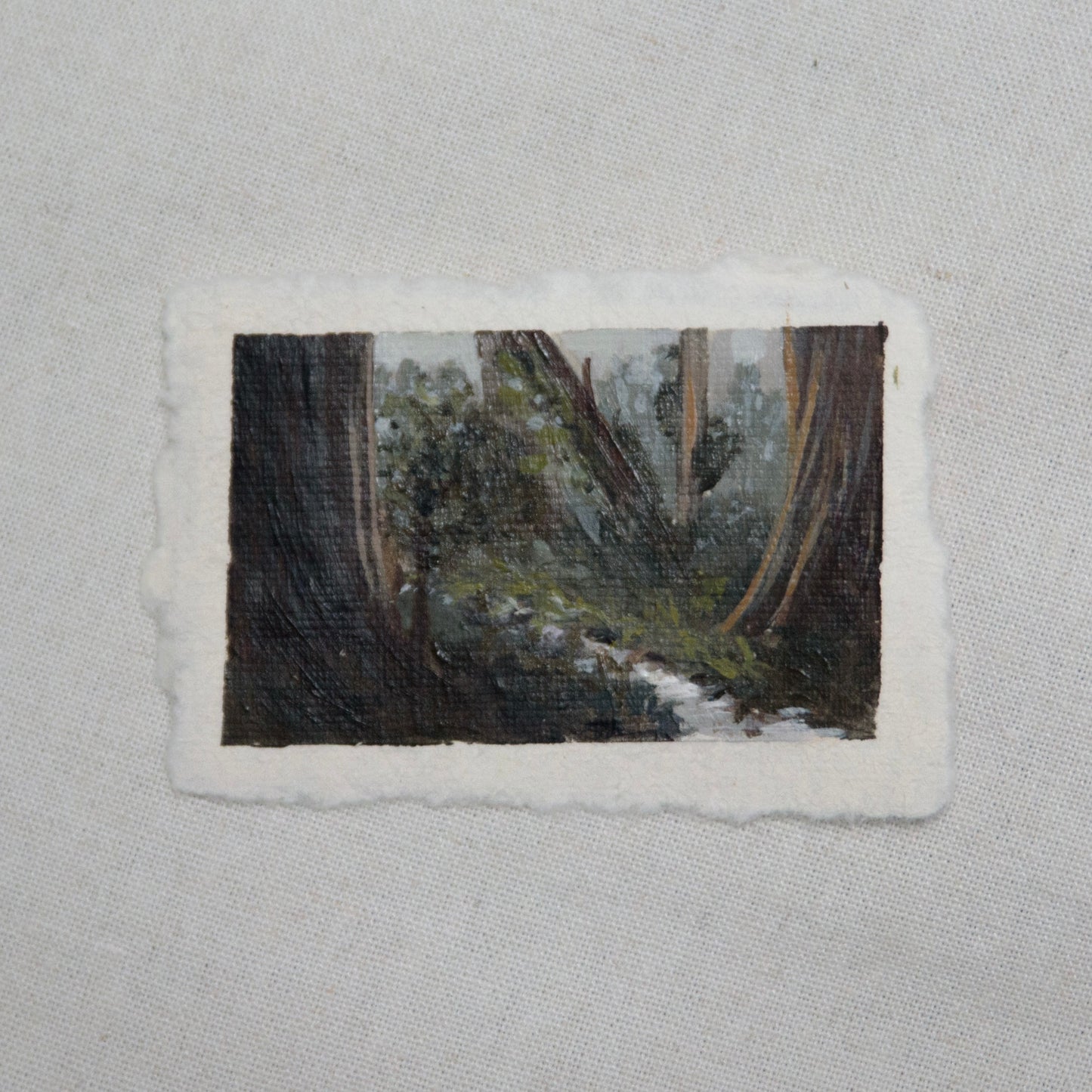 redwood national park acrylic miniature painting, painted en plein air at redwood national park by artist Laura Van Moorleghem