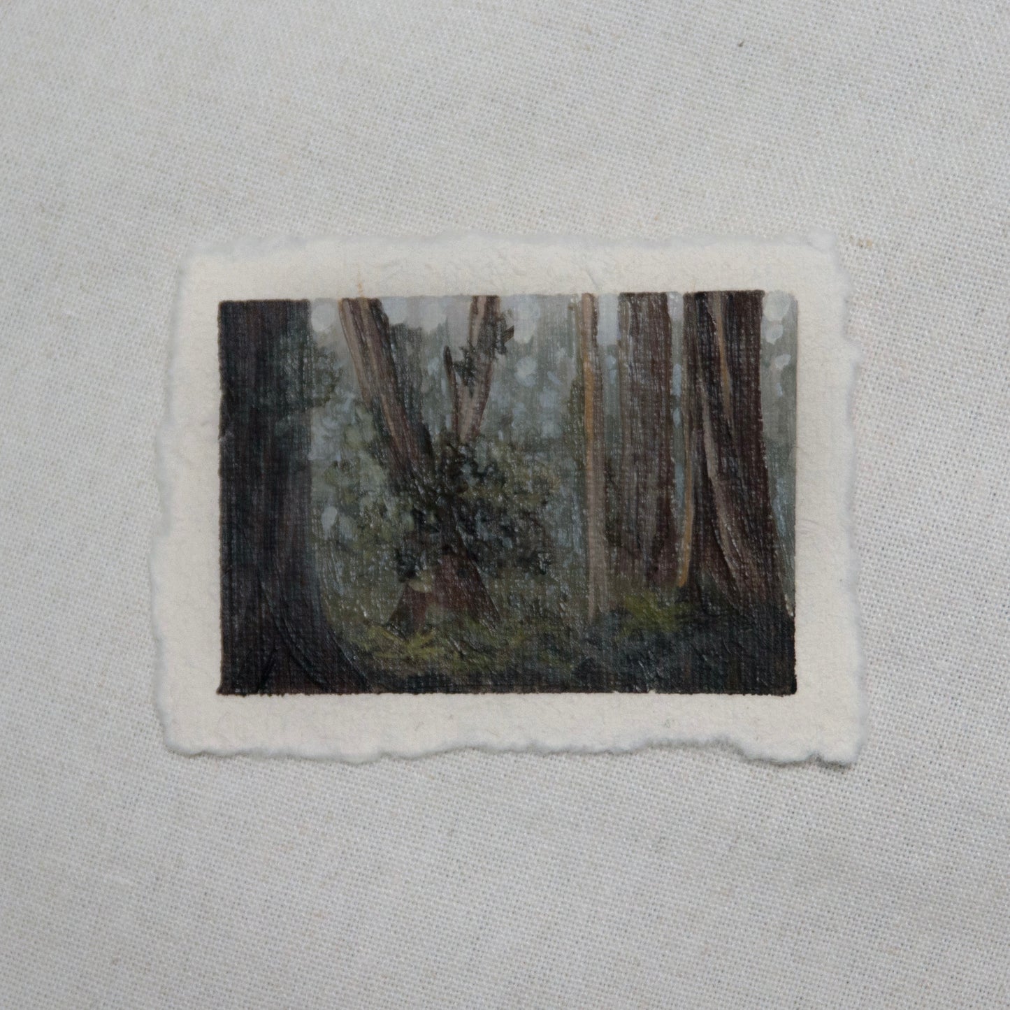 Redwood grove miniature acrylic painting from Redwood National Park by Laura Van Moorleghem
