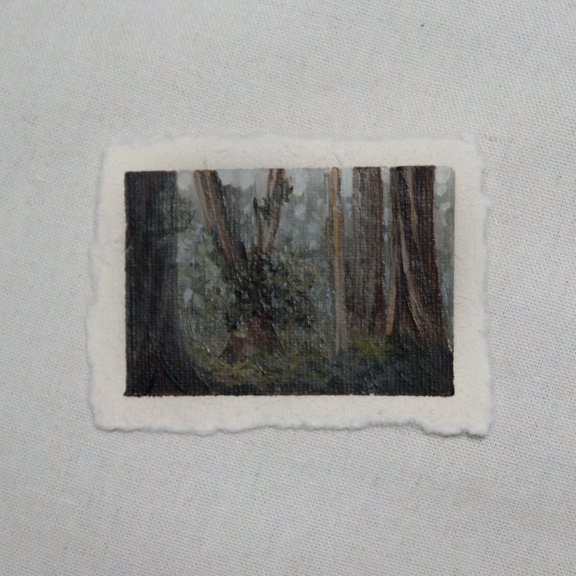 Redwood grove miniature acrylic painting from Redwood National Park by Laura Van Moorleghem