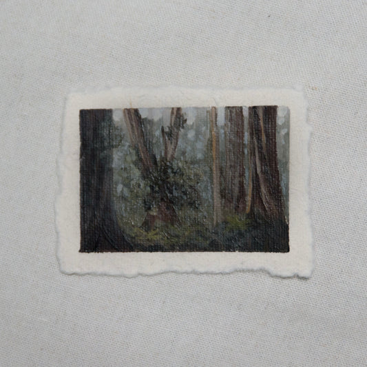 Redwood grove miniature acrylic painting from Redwood National Park by Laura Van Moorleghem