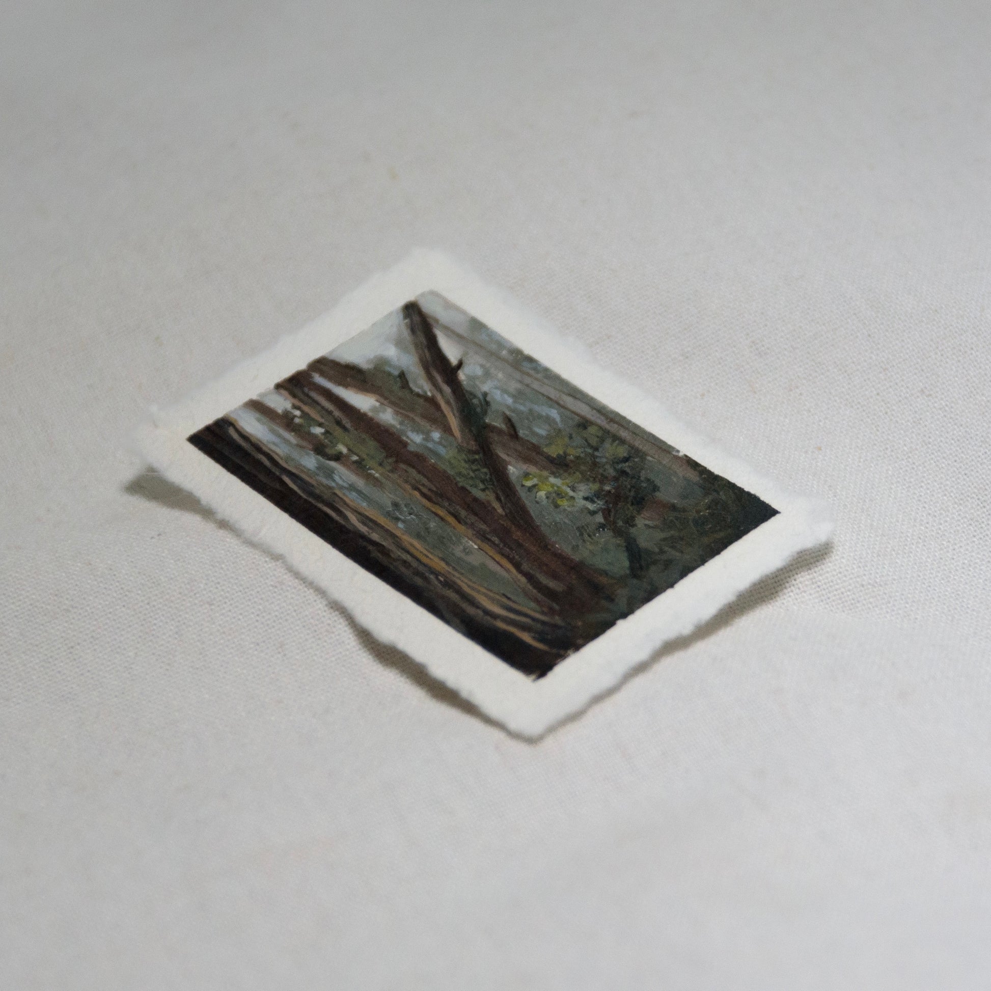 Side profile of Redwood forest in Redwood Forest National Park painting on deckled edge 100% cotton rag paper