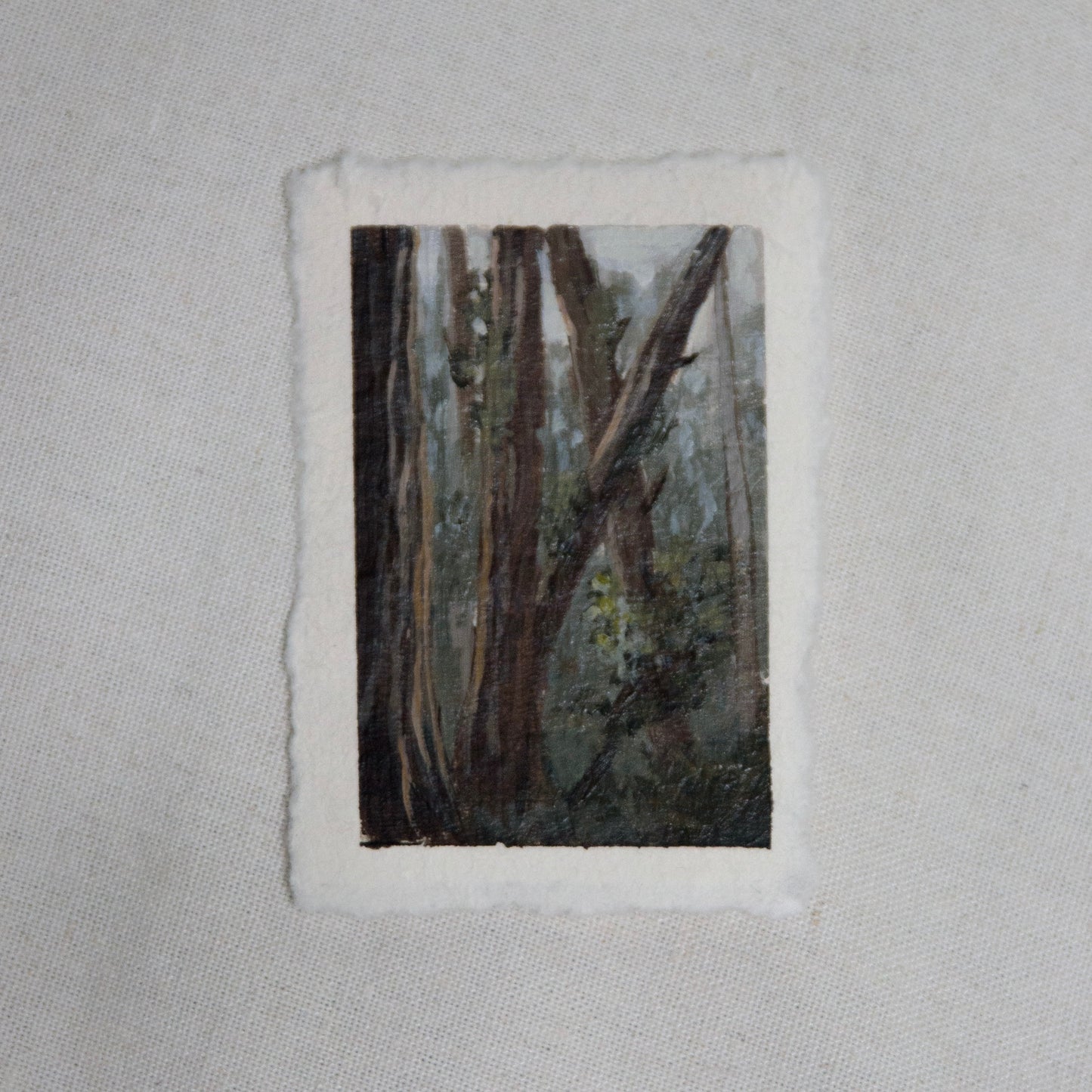 Redwood forest miniature gouache painting from Redwood National Park  by Laura Van Moorleghem