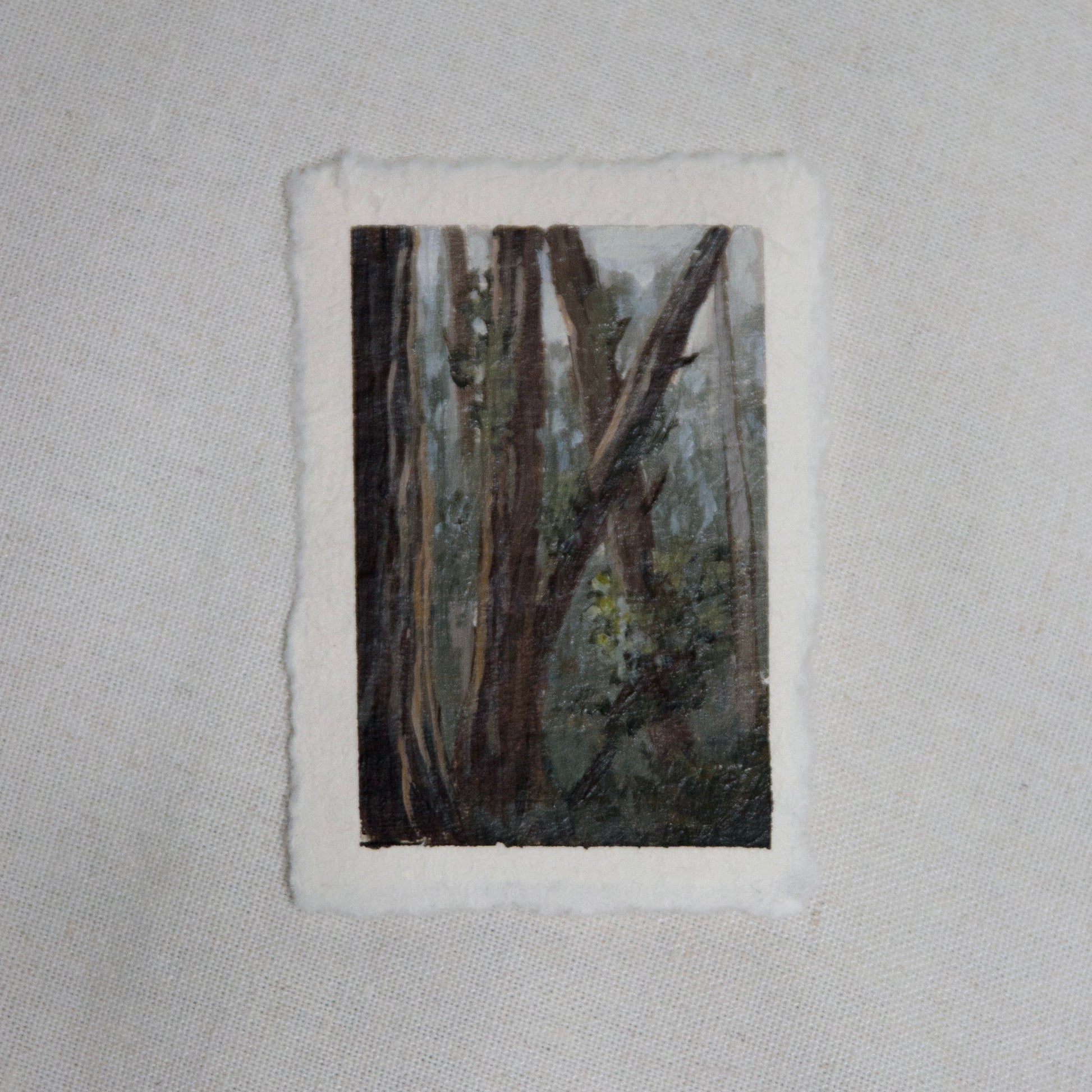 Redwood forest miniature gouache painting from Redwood National Park  by Laura Van Moorleghem