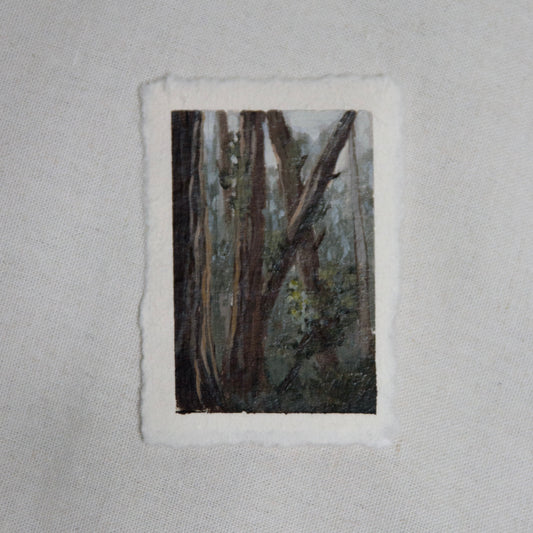 Redwood forest miniature gouache painting from Redwood National Park  by Laura Van Moorleghem