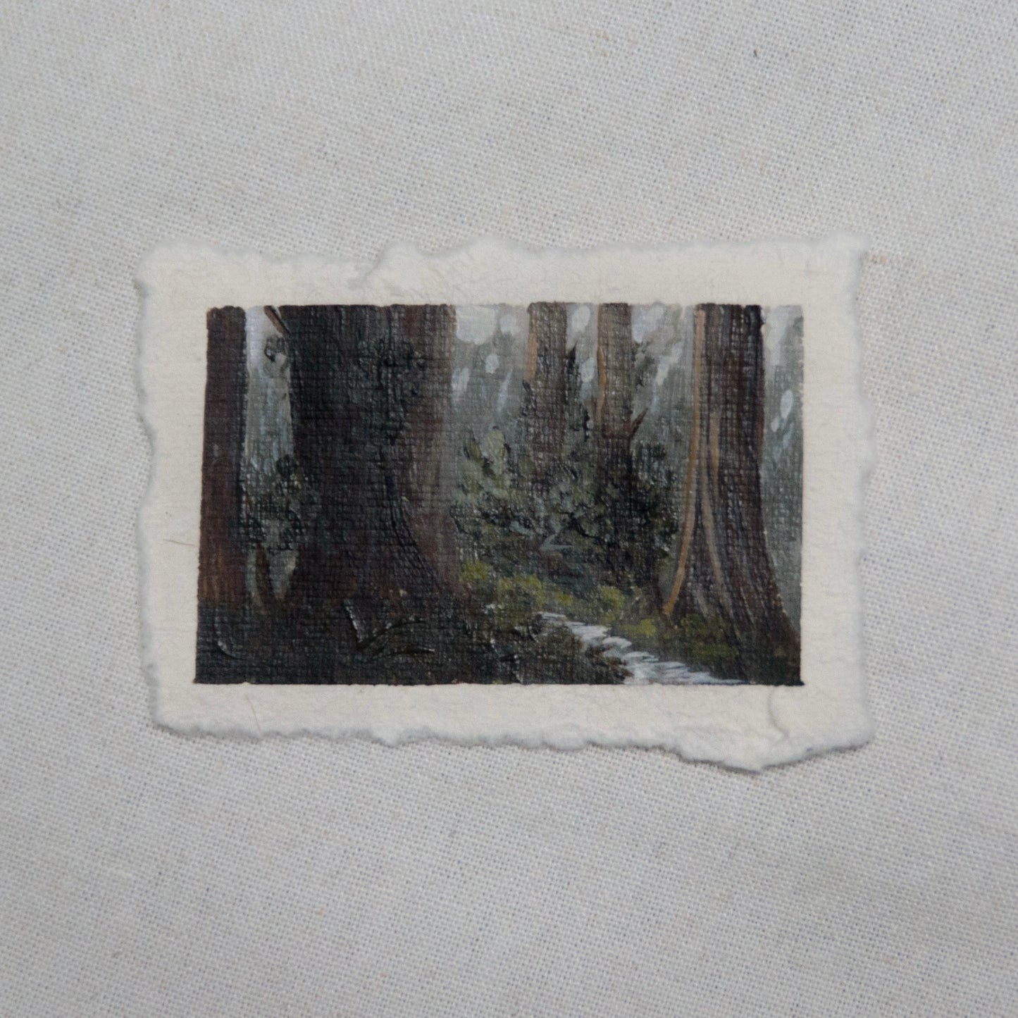 Redwood grove miniature gouache painting from redwood National Park by Laura Van Moorleghem