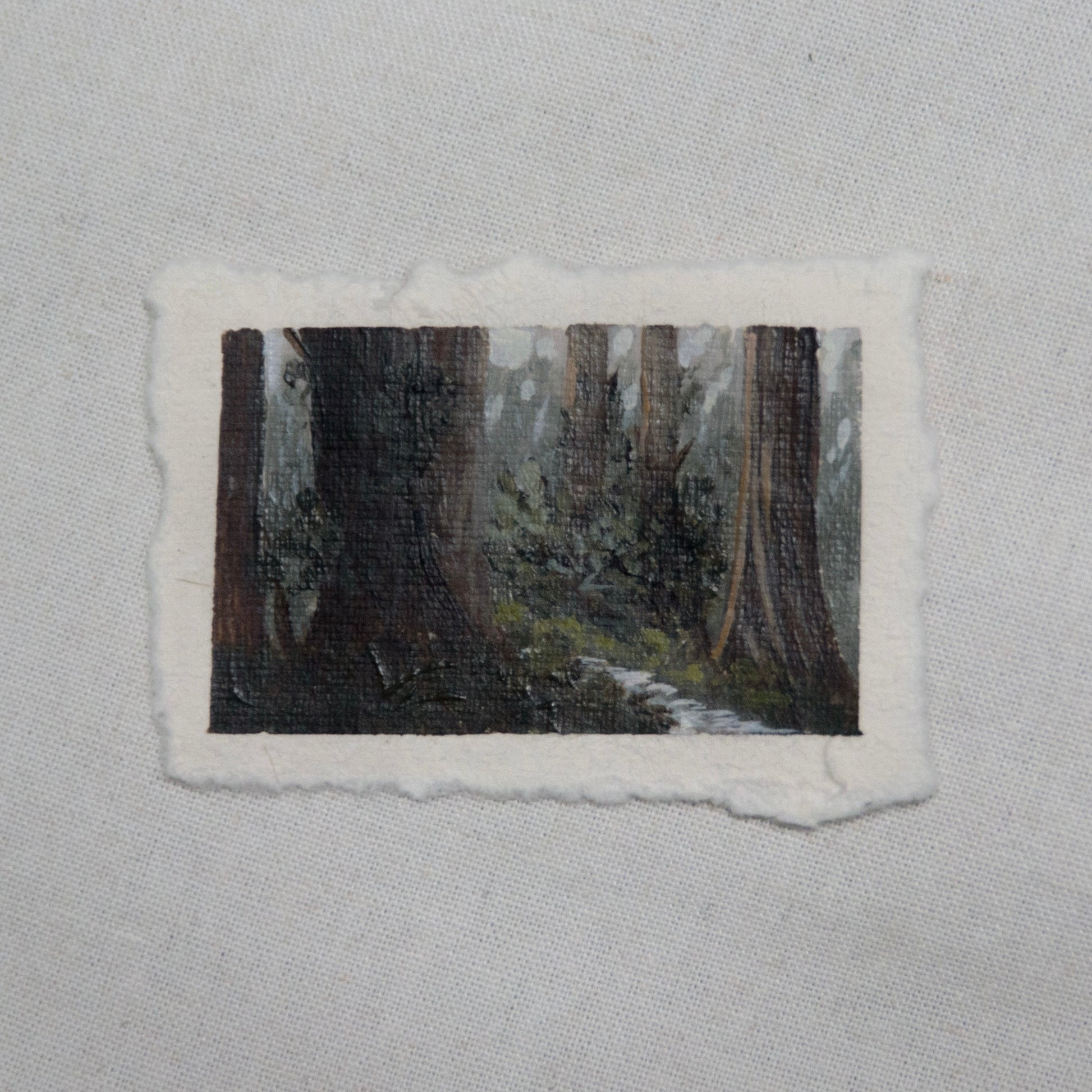 Redwood grove miniature gouache painting from redwood National Park by Laura Van Moorleghem