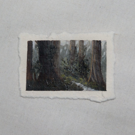 Redwood grove miniature gouache painting from redwood National Park by Laura Van Moorleghem