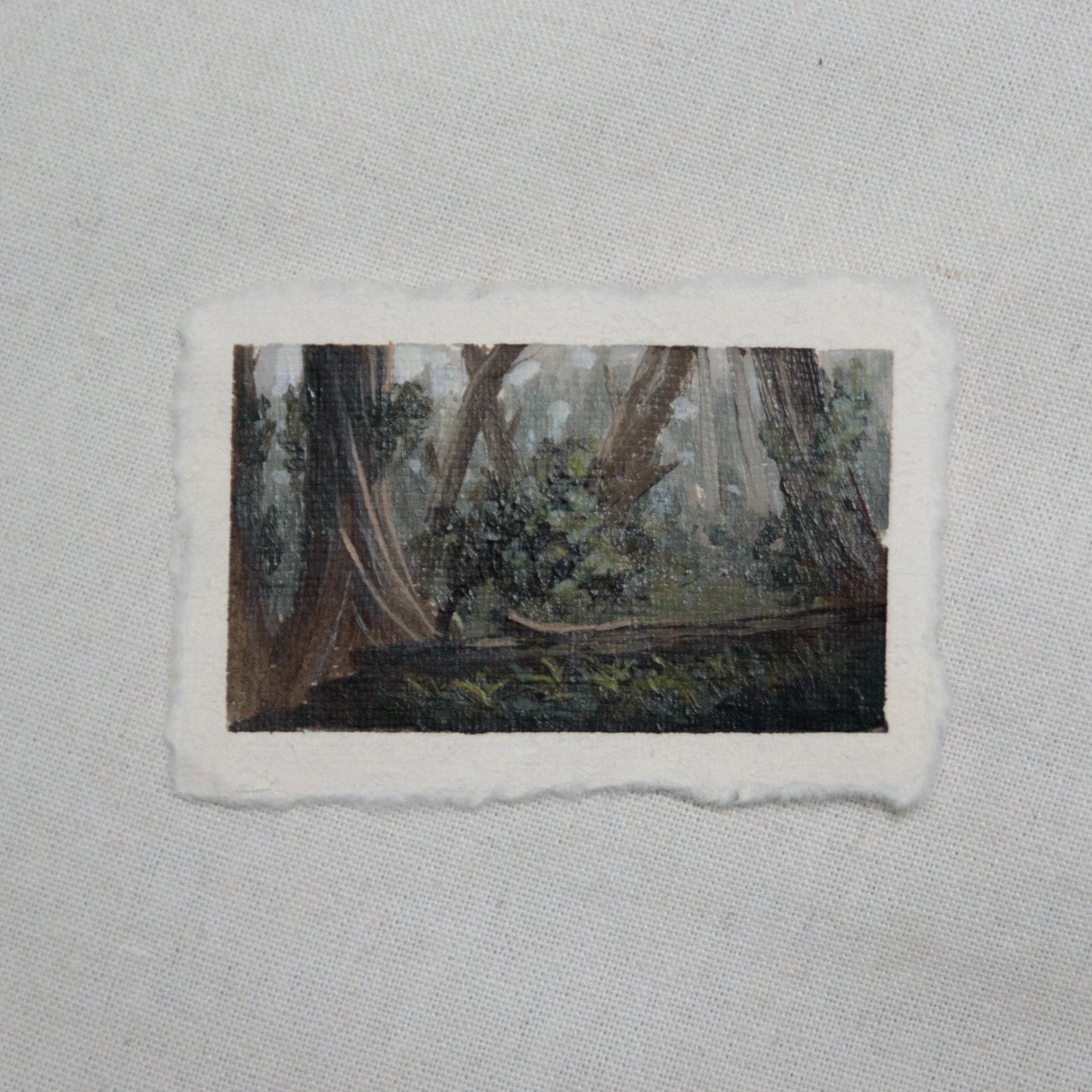 redwood grove miniature gouache painting from redwood National Park by Laura Van Moorleghem