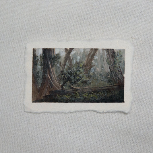 redwood grove miniature gouache painting from redwood National Park by Laura Van Moorleghem