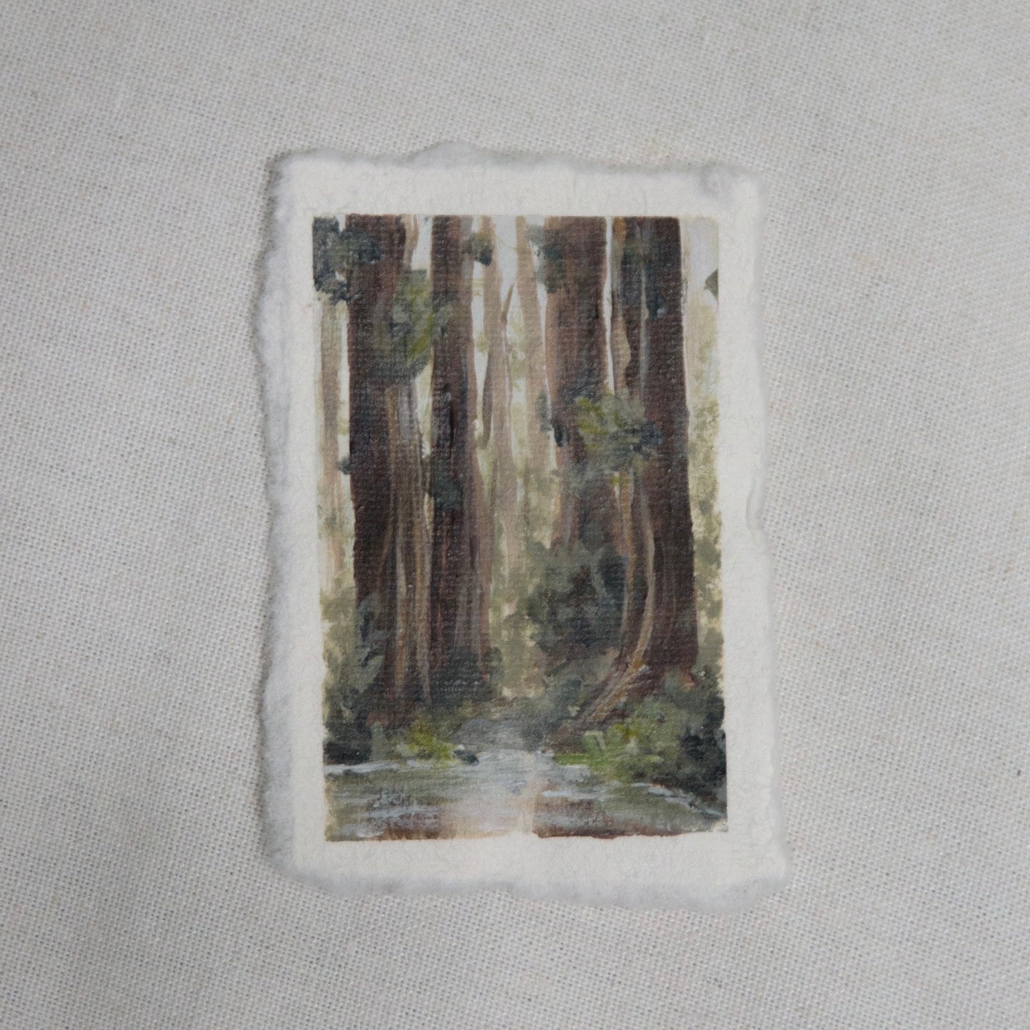 redwood grove with creek miniature acrylic painting from redwood National Park by Laura Van Moorleghem