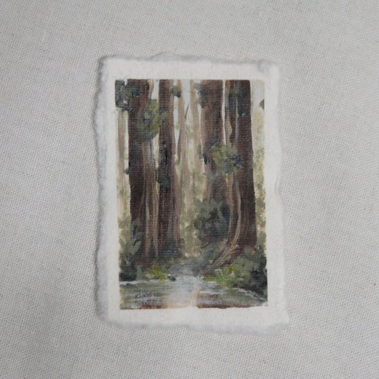 redwood grove with creek miniature acrylic painting from redwood National Park by Laura Van Moorleghem