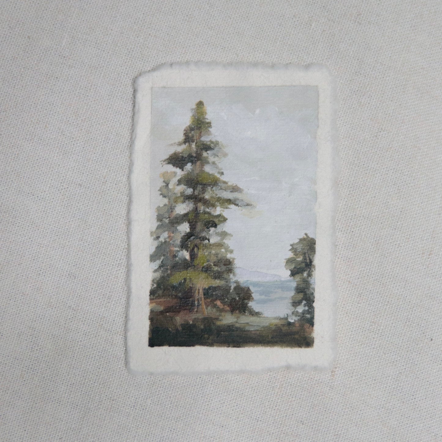 Redwood ocean scape miniature acrylic painting from redwood National Park by Laura Van Moorleghem