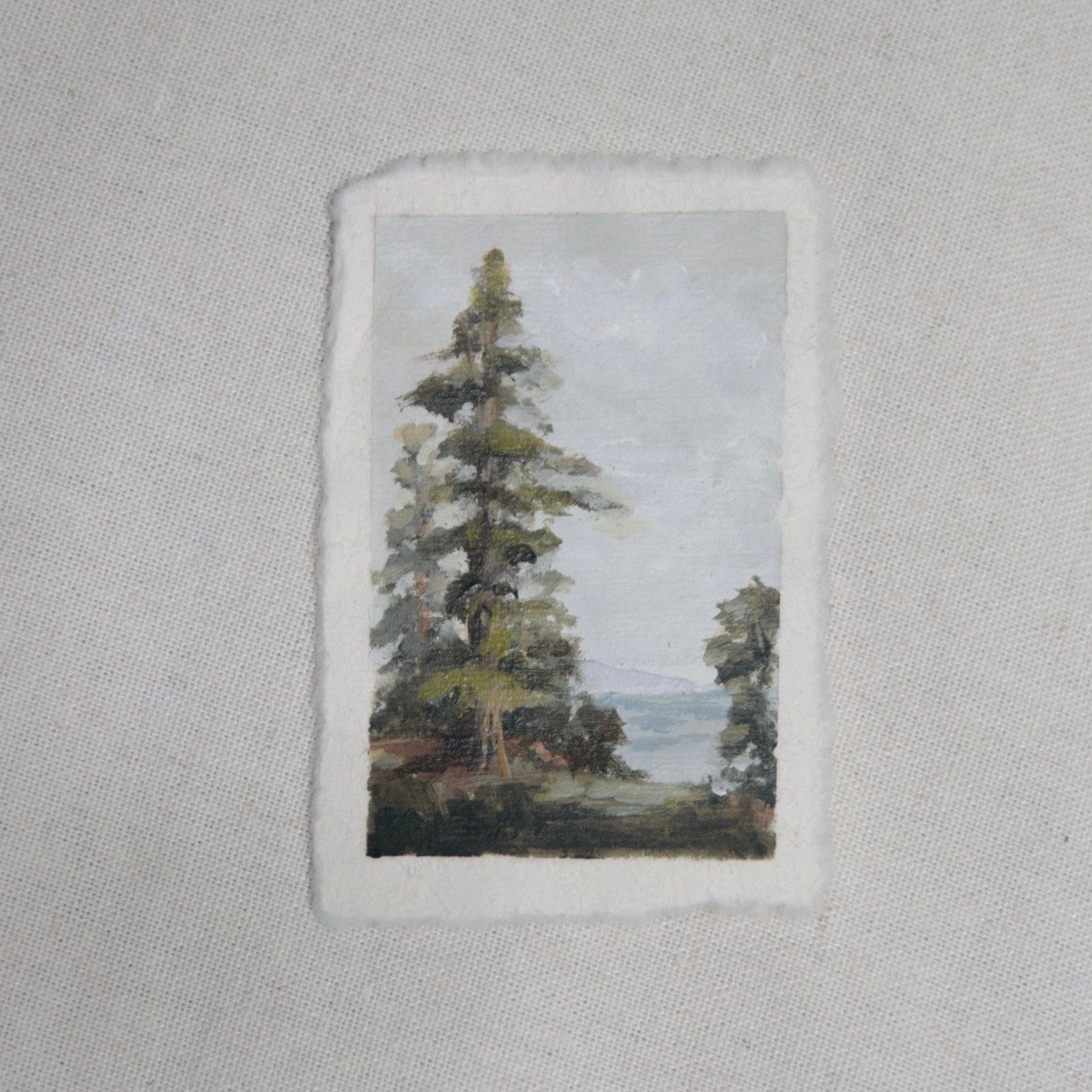 Redwood ocean scape miniature acrylic painting from redwood National Park by Laura Van Moorleghem