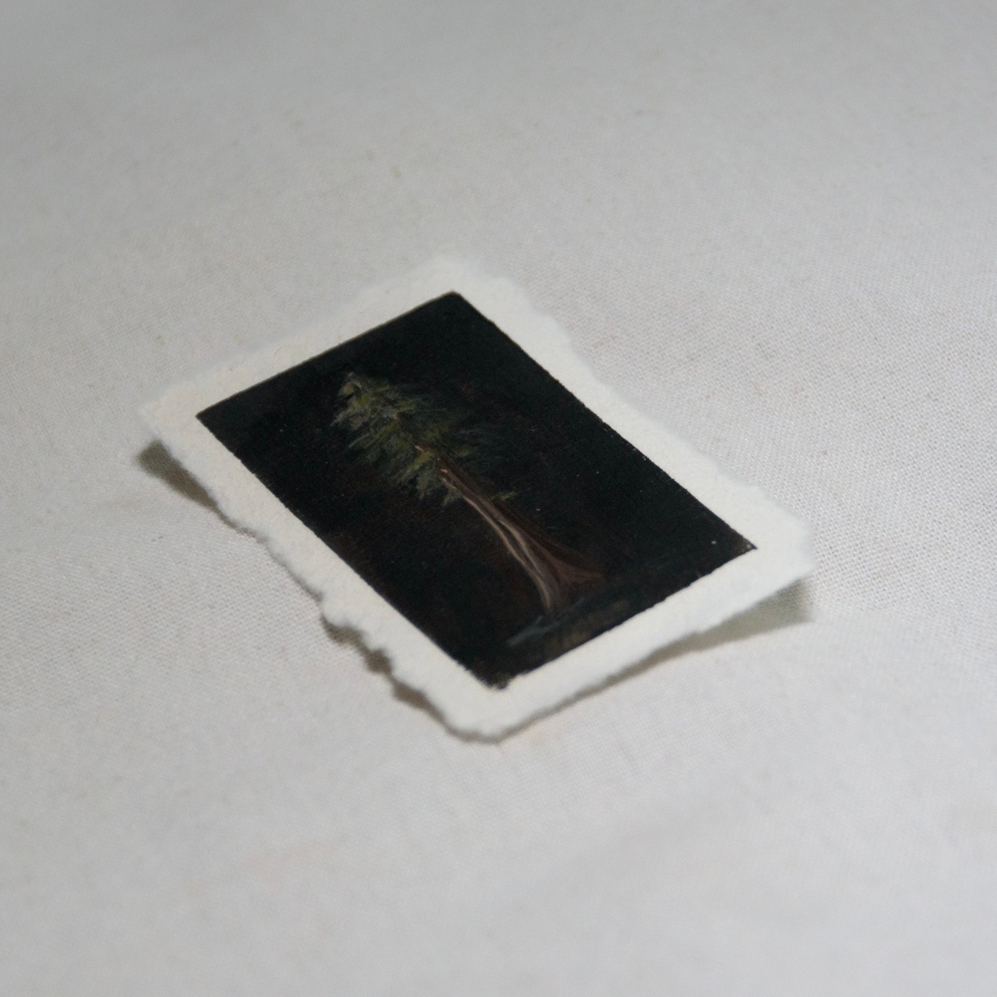 Side profile of redwood portrait in redwood national park painting on deckled edge 100% cotton rag paper