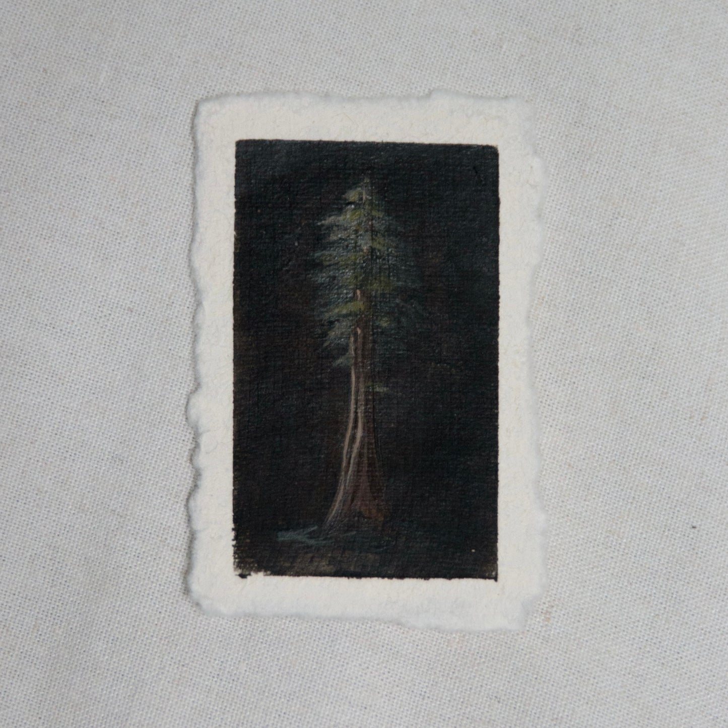 Redwood national park tree portrait miniature gouache painting from redwood  National Park by Laura Van Moorleghem