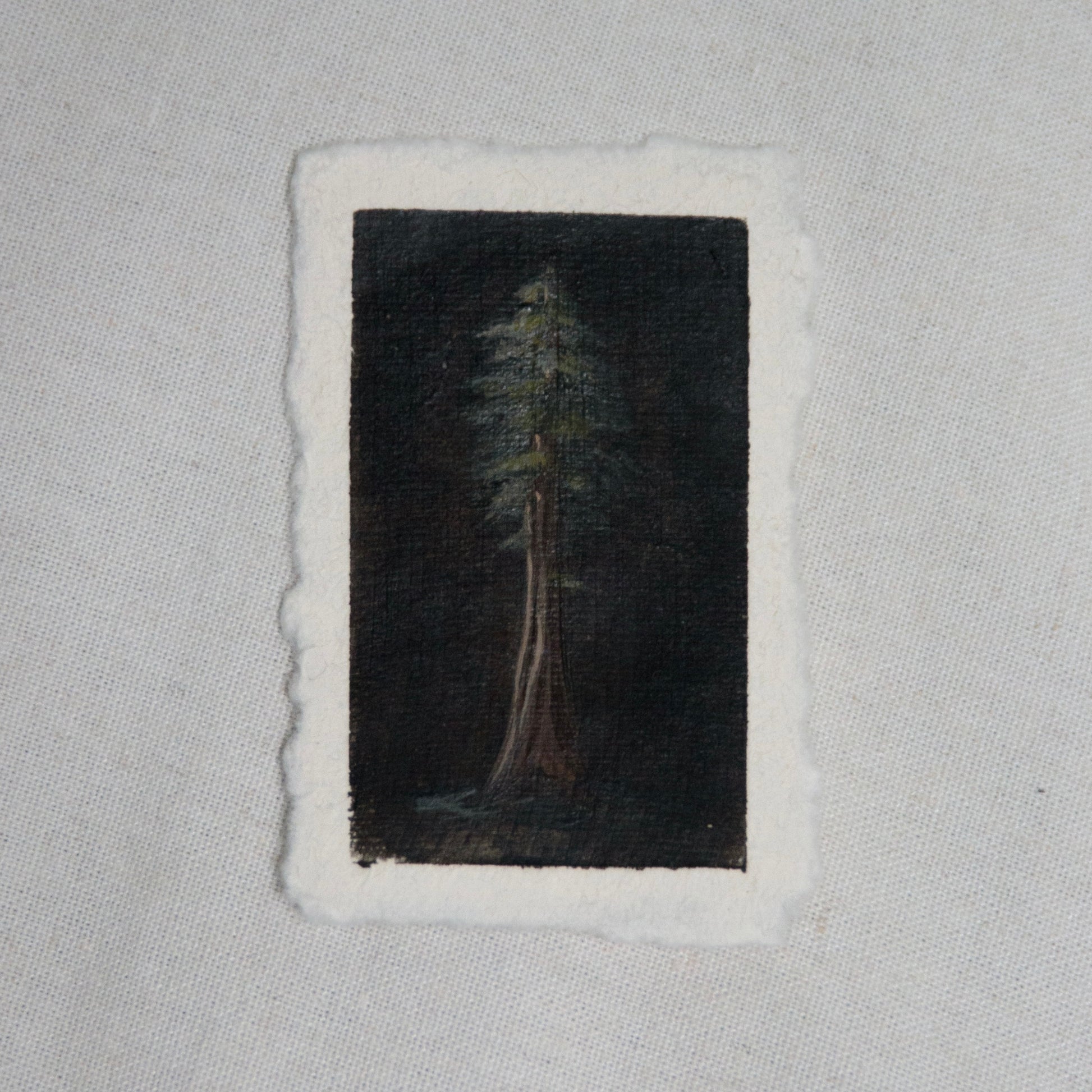 Redwood national park tree portrait miniature gouache painting from redwood  National Park by Laura Van Moorleghem