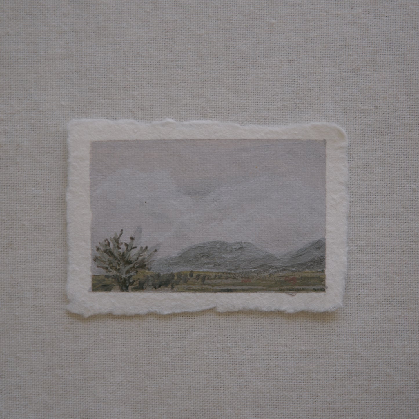 Joshua tree mountains miniature acrylic painting from Joshua Tree National Park by Laura Van Moorleghem