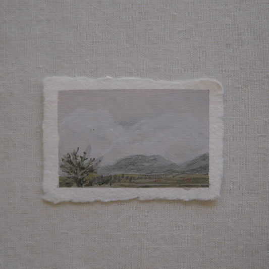Joshua tree mountains miniature acrylic painting from Joshua Tree National Park by Laura Van Moorleghem