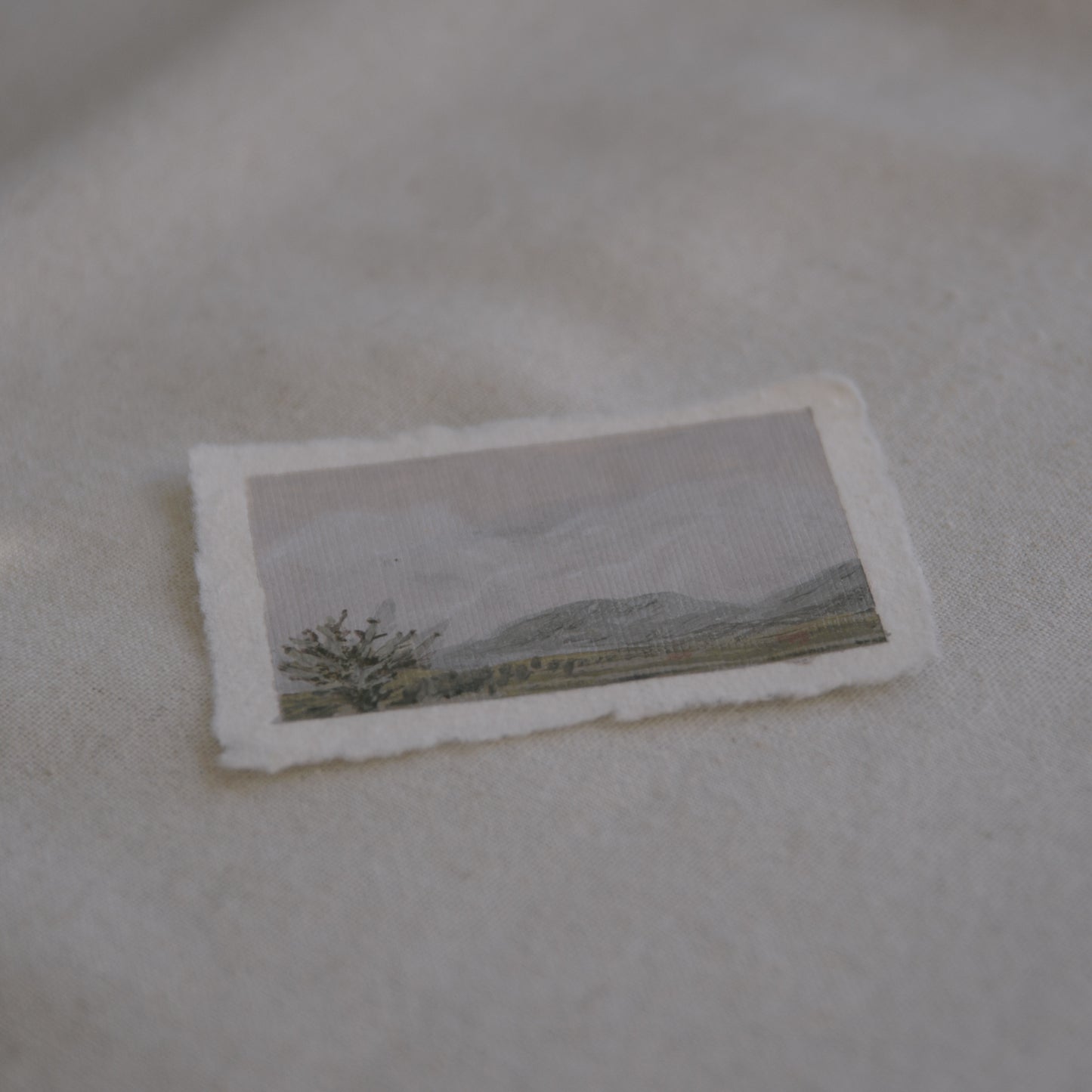 Side profile of Ocotillo and mountains of Joshua Tree National Park painting on deckled edge 100% cotton rag paper