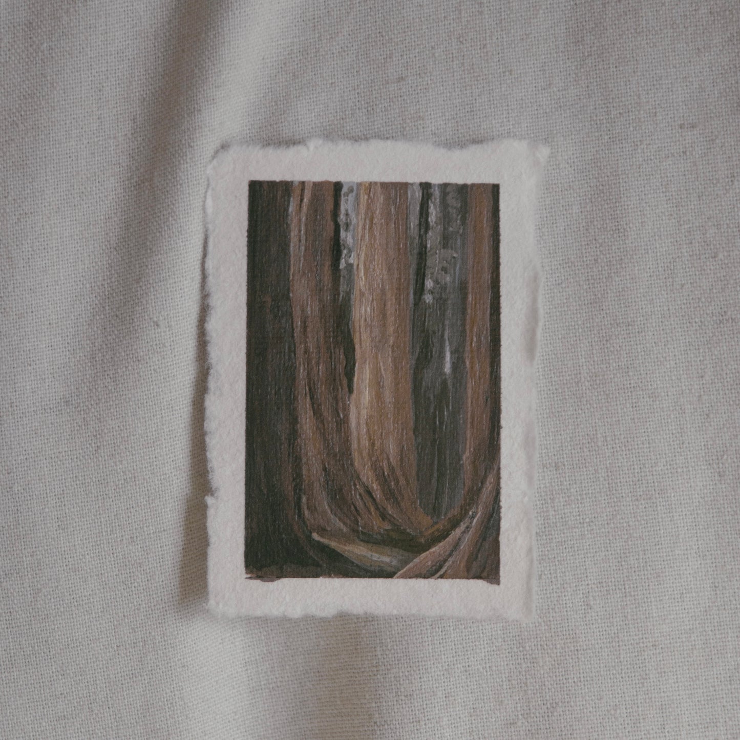 Sequoia grove miniature gouache painting from Sequoia National Park by Laura Van Moorleghem