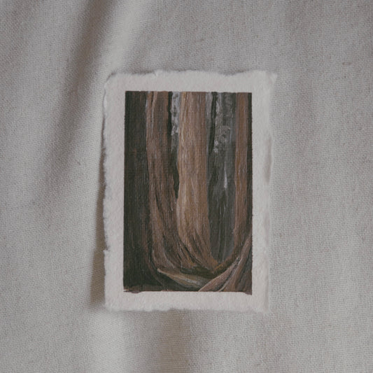 Sequoia grove miniature gouache painting from Sequoia National Park by Laura Van Moorleghem