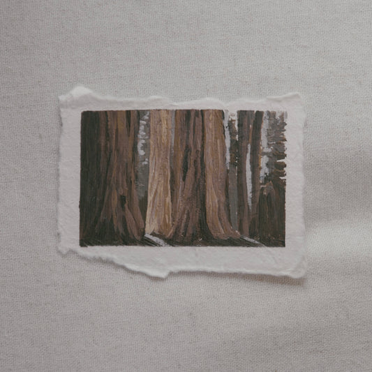 miniature acrylic painting of Sequoia tree grove from Sequoia National Park by Laura Van Moorleghem