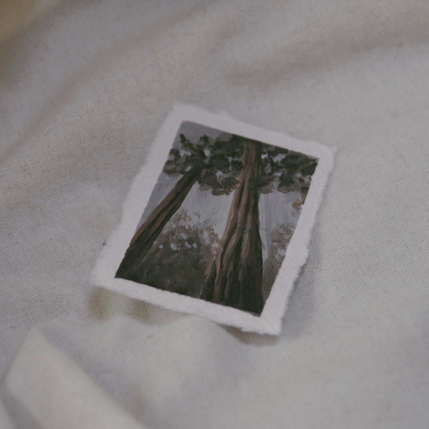 Side profile of sequioa trees stretching towards the sun in a miniature  painting on deckled edge 100% cotton rag paper