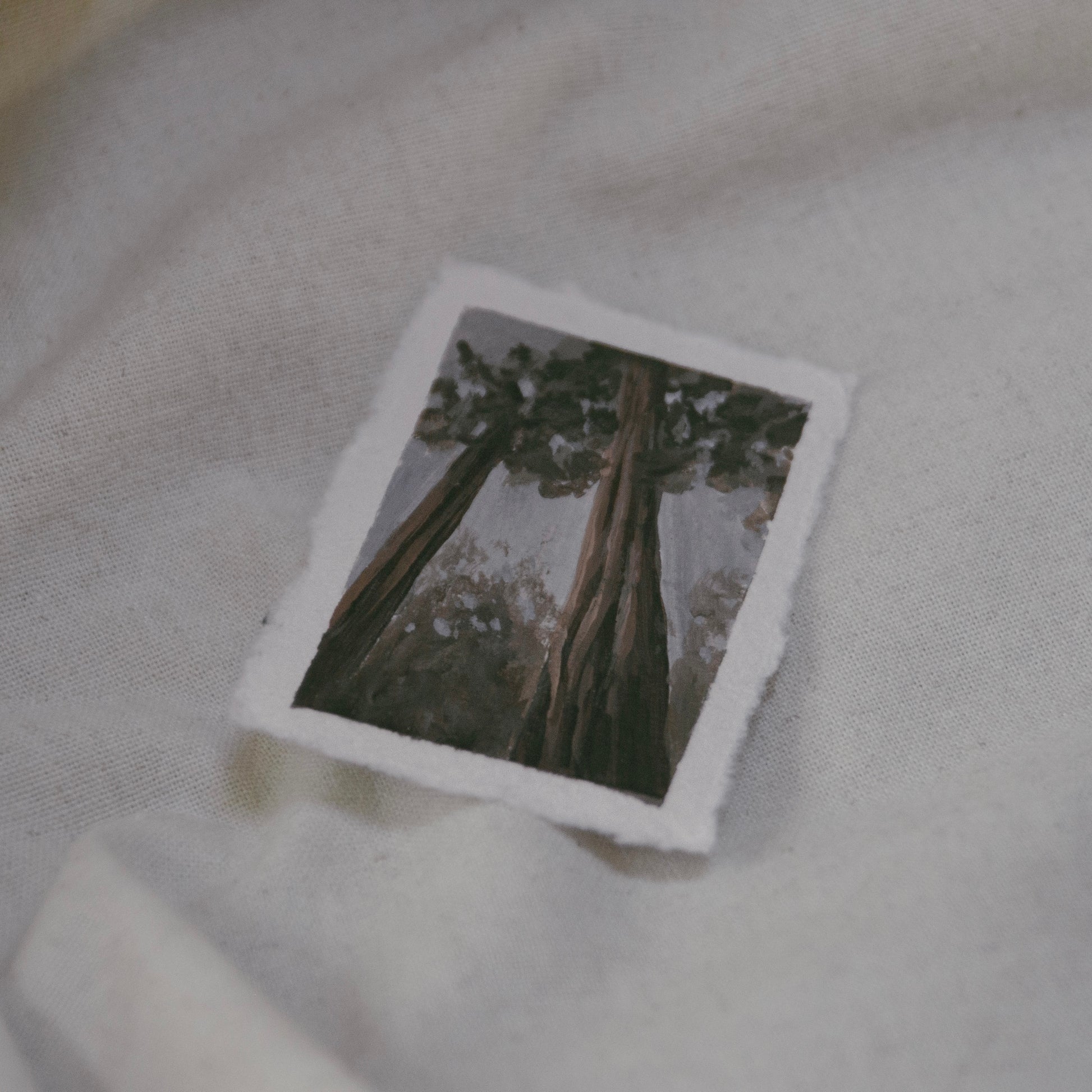 Side profile of sequioa trees stretching towards the sun in a miniature  painting on deckled edge 100% cotton rag paper