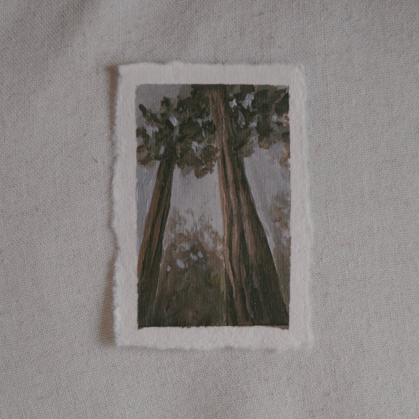 Sequoia trees stretching towards the sky miniature acrylic painting from Sequoia National Park by Laura Van Moorleghem