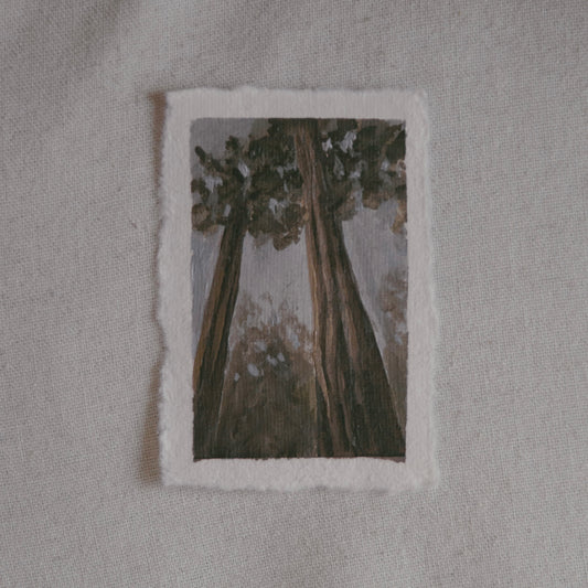 Sequoia trees stretching towards the sky miniature acrylic painting from Sequoia National Park by Laura Van Moorleghem