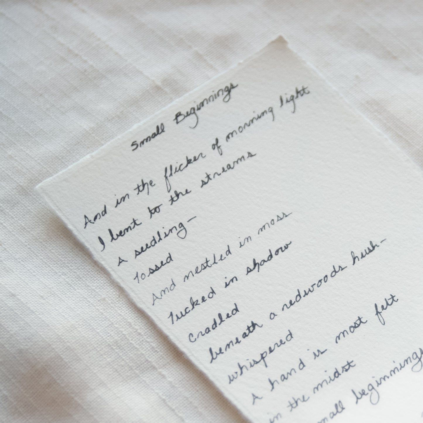 Handwritten cursive Redwood National Park Park 'Small Beginnings' from 'The Journey' collection
