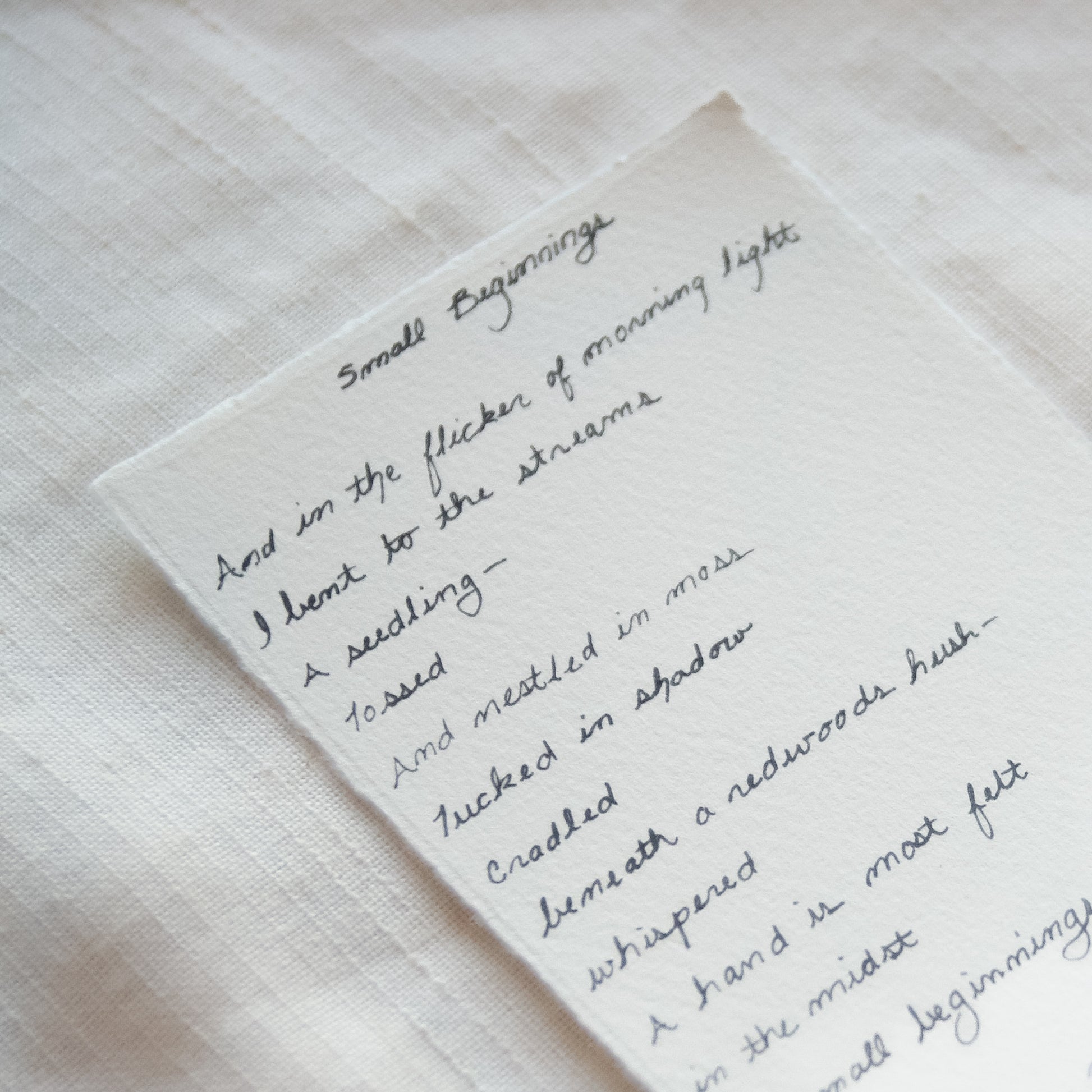 Handwritten cursive Redwood National Park Park 'Small Beginnings' from 'The Journey' collection