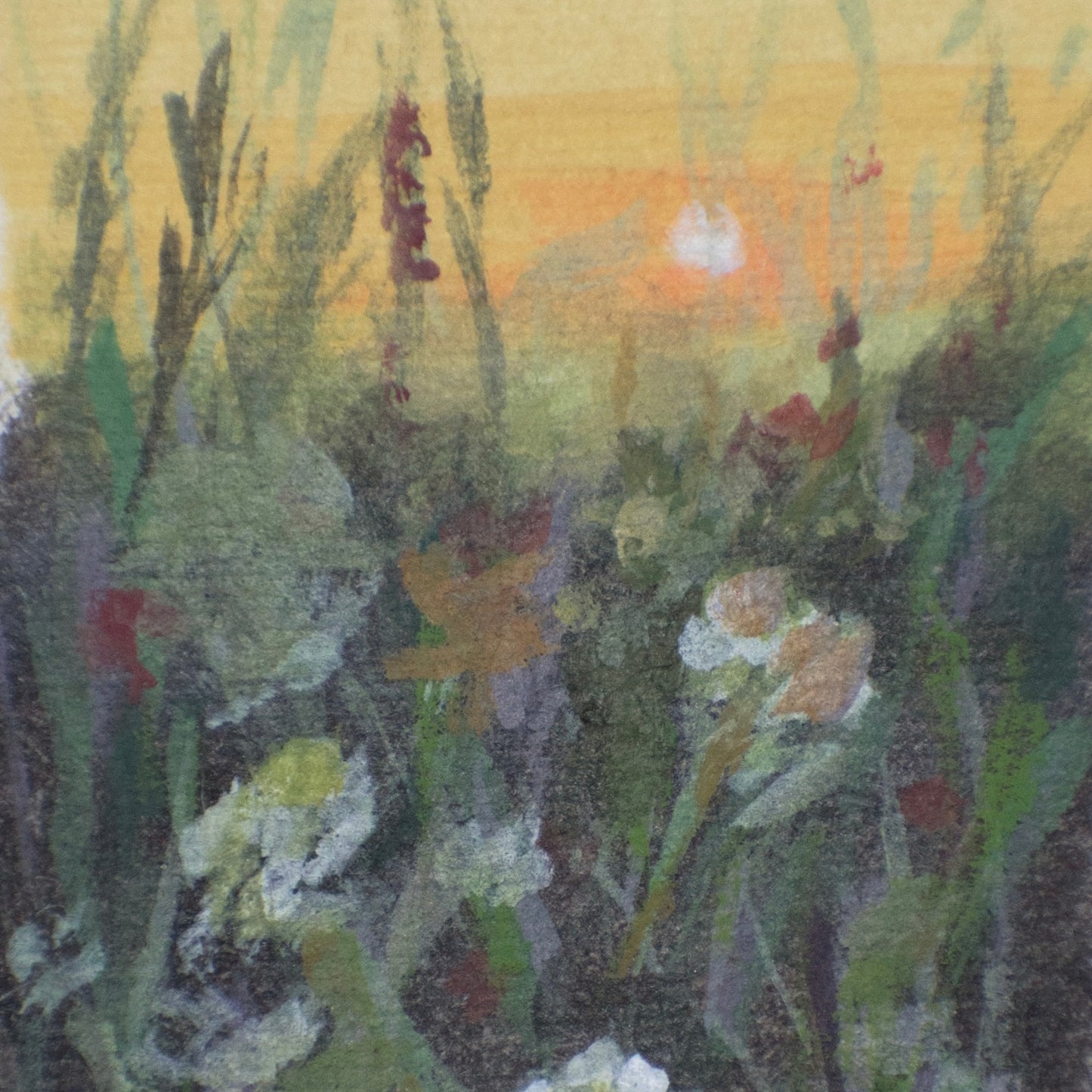 details of orange sunset and shadowed flowers in a field mini painting 