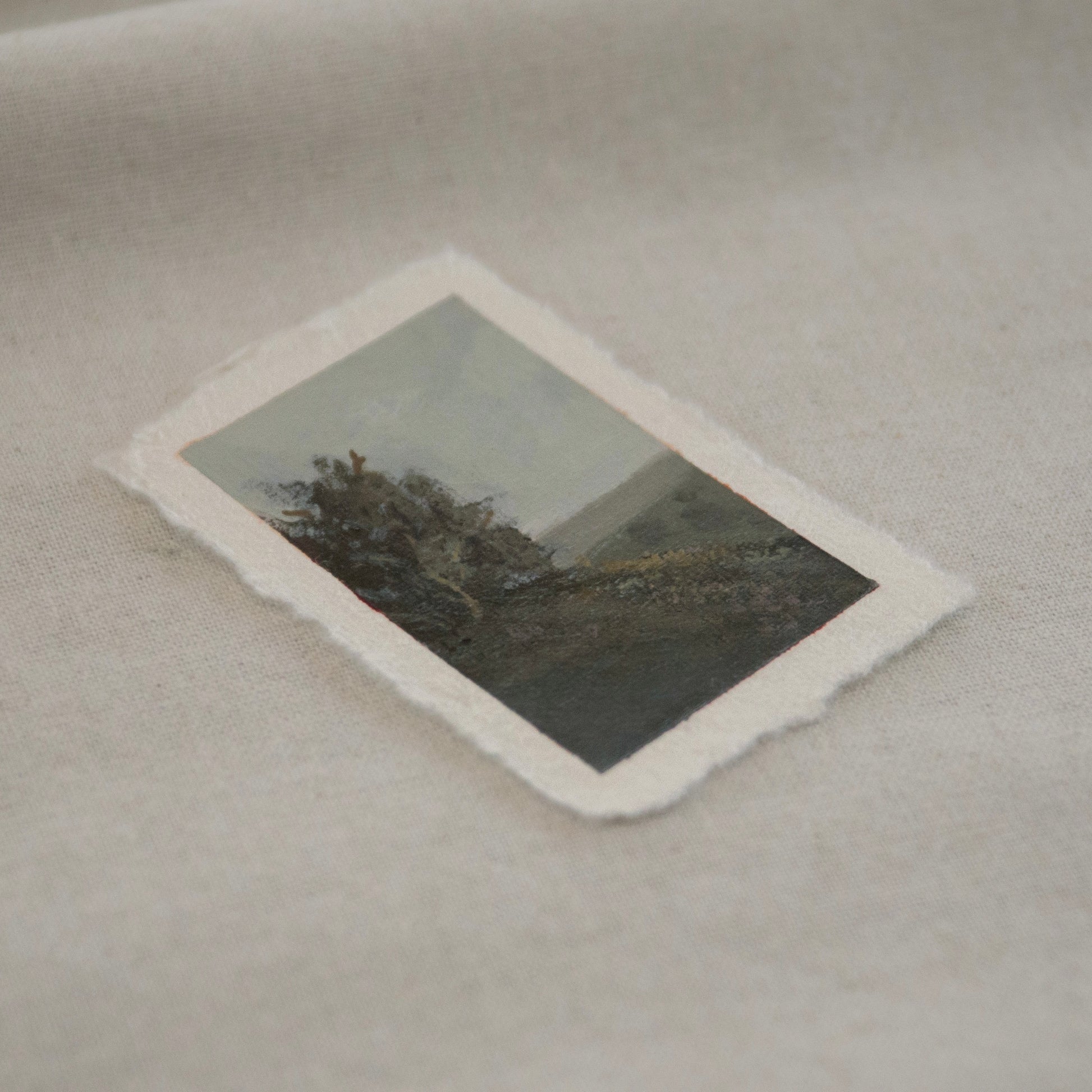 Side profile of tree on a hillside in Pinnacles National Park painting on deckled edge 100% cotton rag paper