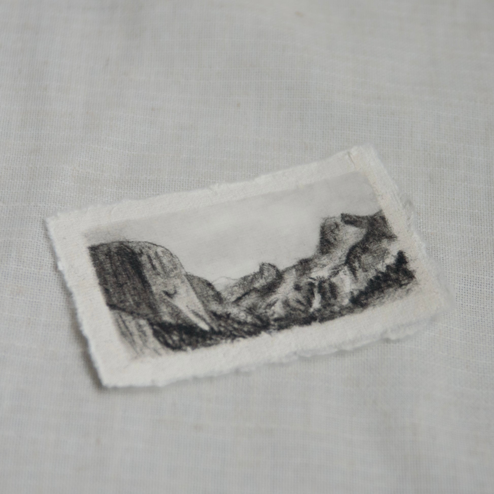 side view of yosemite national park tunnel view sketch to support the NPCA (National Park Conservation Association)