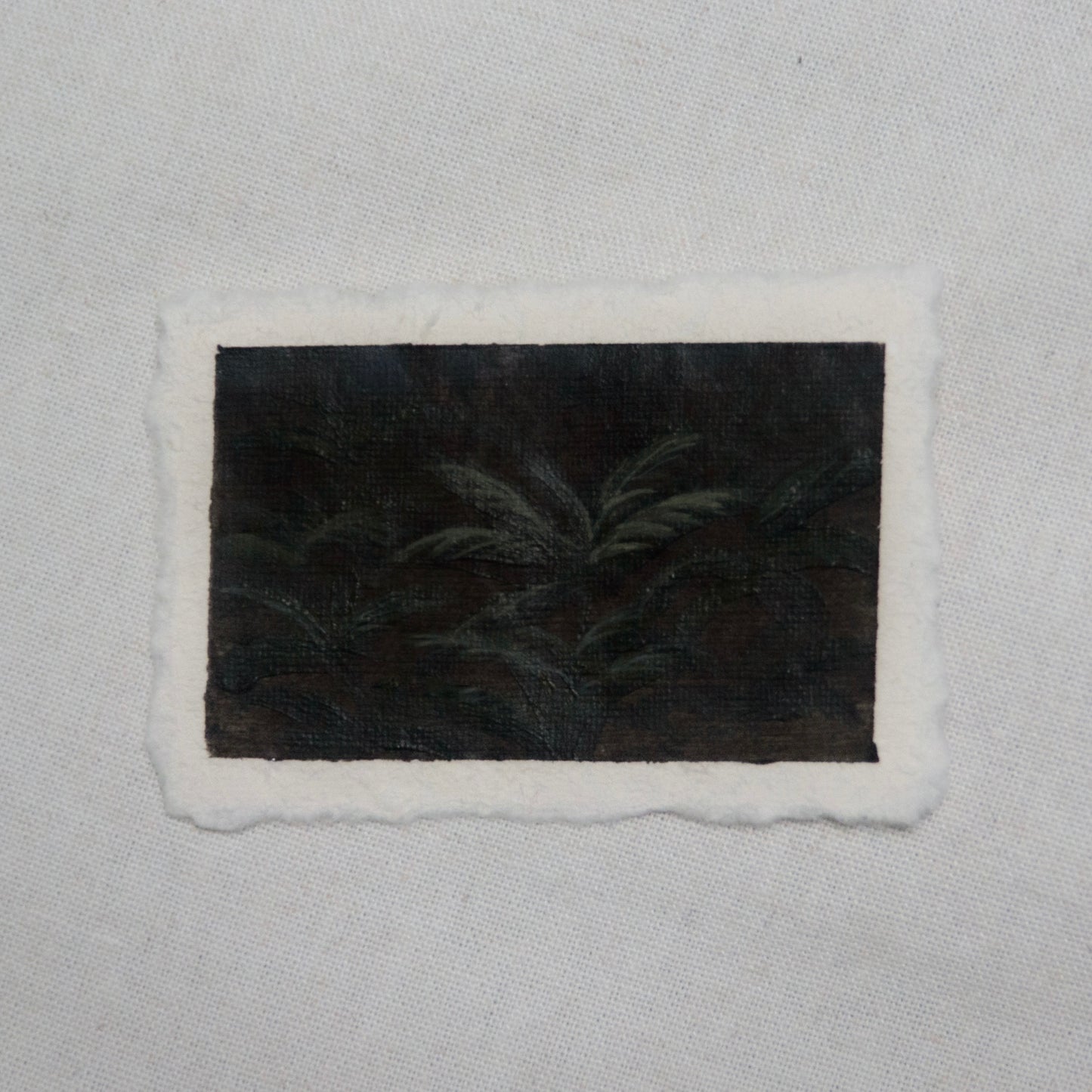 western sword fern portrait miniature acrylic painting from redwood National Park by Laura Van Moorleghem