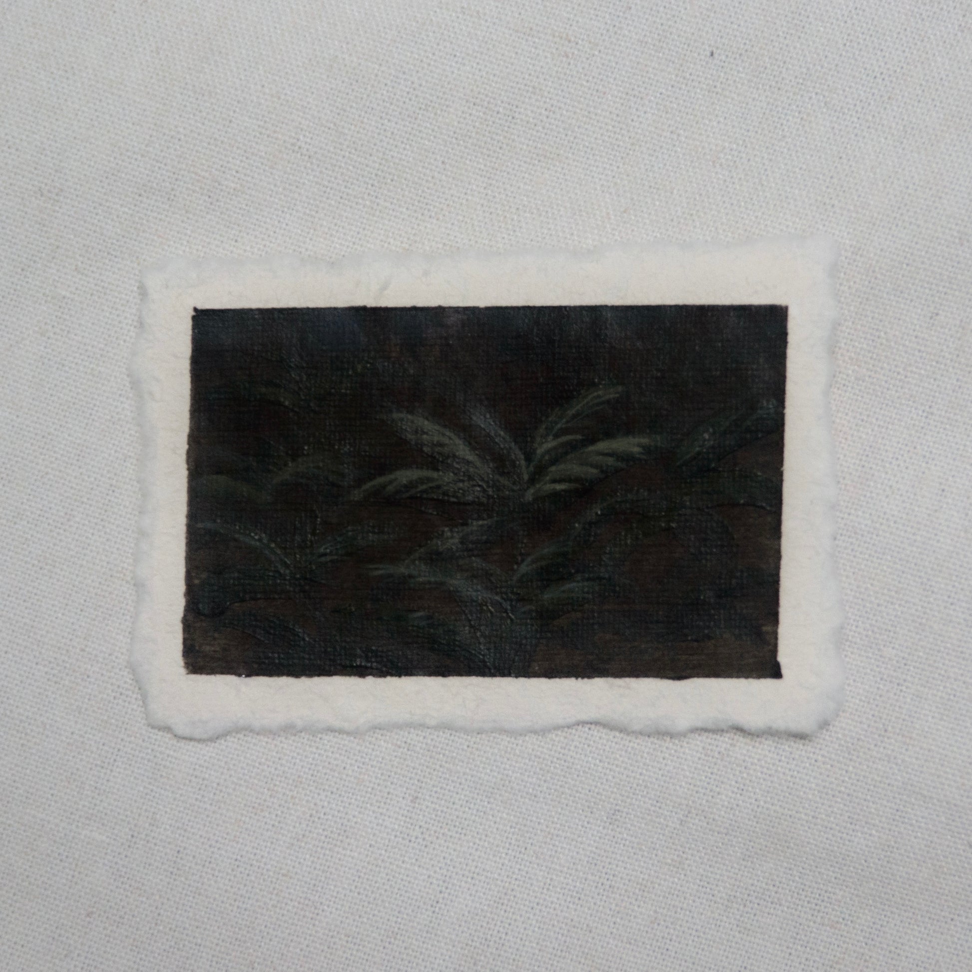 western sword fern portrait miniature acrylic painting from redwood National Park by Laura Van Moorleghem