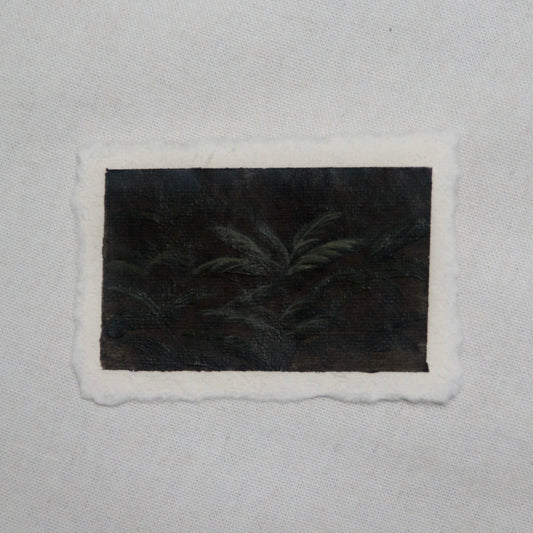 western sword fern portrait miniature acrylic painting from redwood National Park by Laura Van Moorleghem