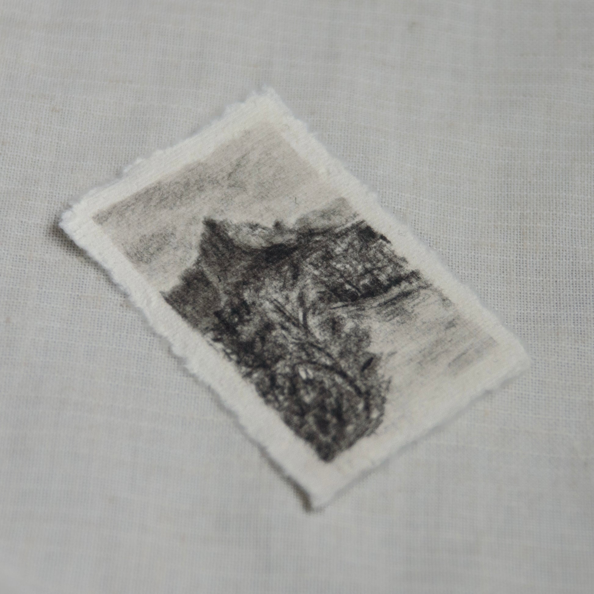 side profile of a charcoal sketch on 100% deckled edge paper of Zion National Park scene